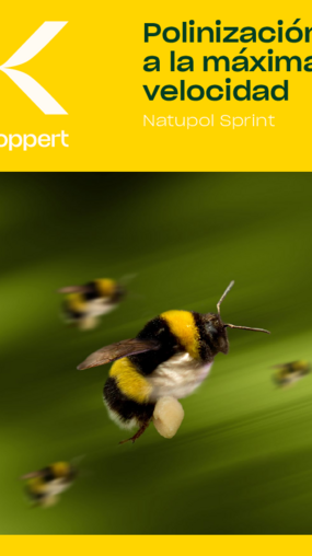 Natupol Sprint Folleto