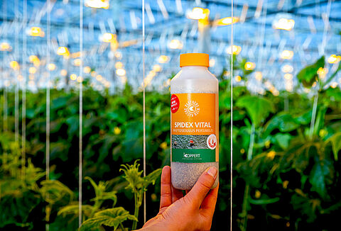 Spidex Vital® es tu aliado vital en el control de la araña roja