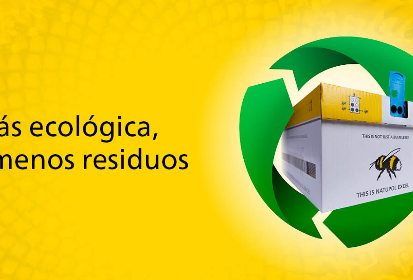 Colmenas de abejorros con un futuro sostenible