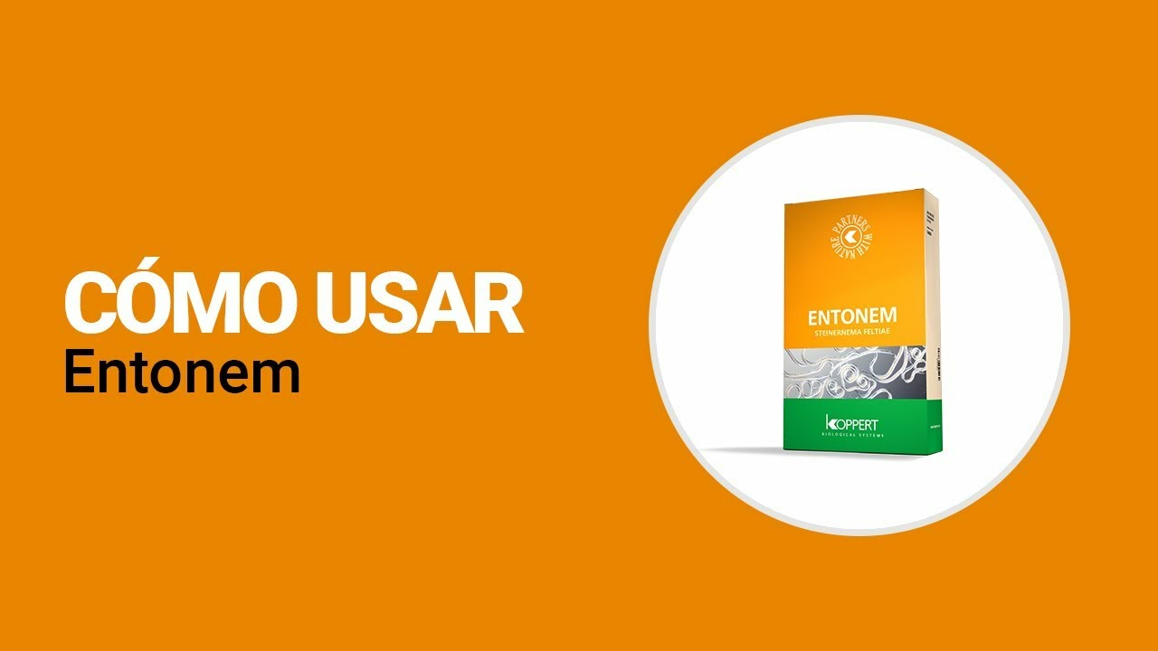 Cómo usar Entonem de Koppert