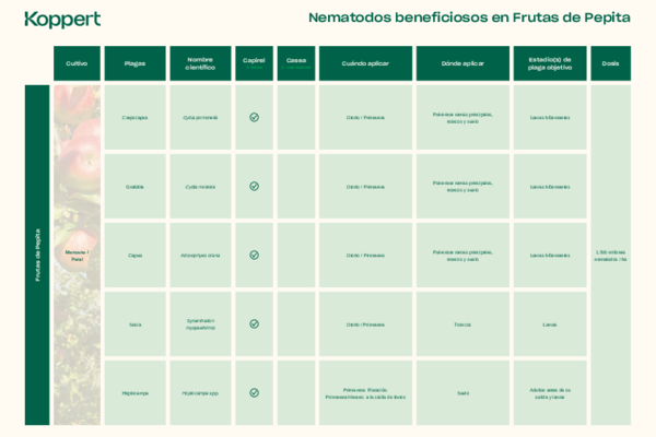Nematodos beneficiosos - Frutas de Pepita