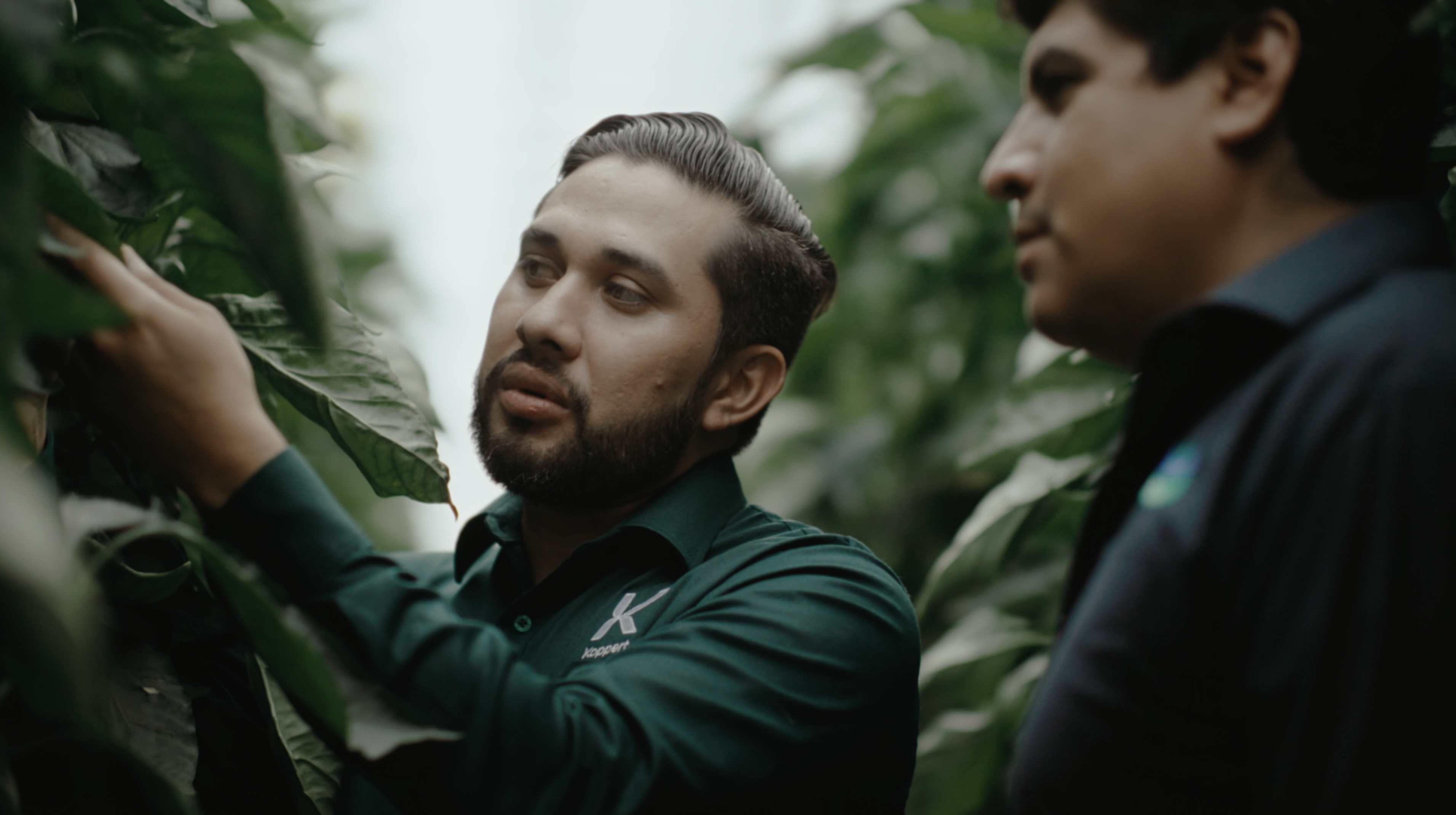 La Hacienda Fresh aumenta la rentabilidad de los cultivos gracias al control biológico